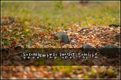 동양생명태아보험 핵심정복  무엇인가요