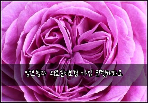 암보험과 의료실비보험 가입 진행해봐요
