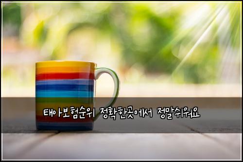 태아보험순위 정확한곳에서 정말쉬워요