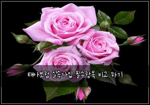 태아보험 실속가입  필수항목 비교 하기