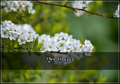 영어 한 마디
