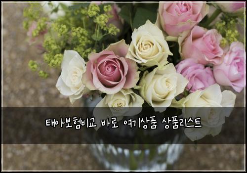 태아보험비교 바로 여기상품 상품리스트
