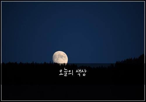 오늘의 색상