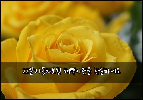 22살자동차보험 혜택마련을  확실하네요