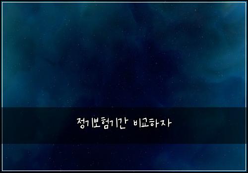 정기보험기간 비교하자