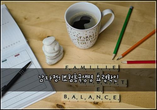 남자정기보험흥국생명 요령확인