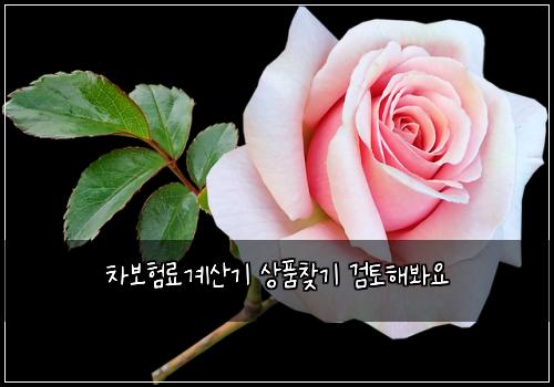 차보험료계산기 상품찾기 검토해봐요