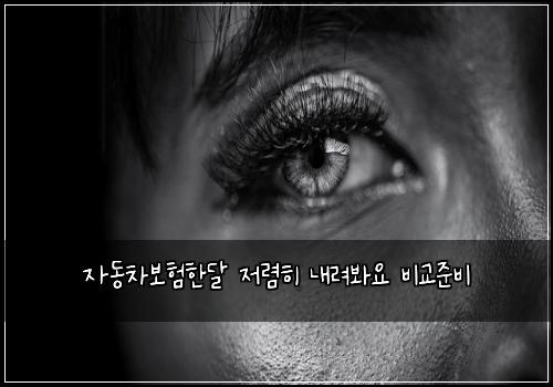 자동차보험한달 저렴히 내려봐요 비교준비