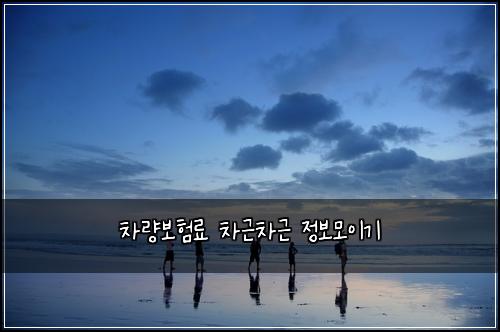 차량보험료 차근차근 정보모이기