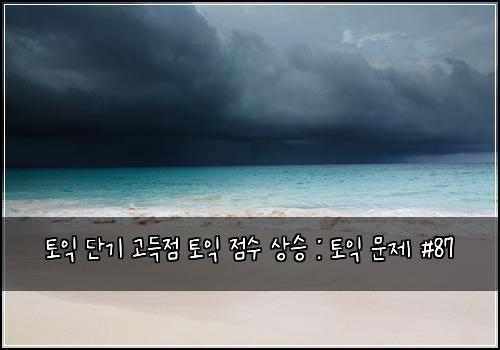 토익 단기 고득점 토익 점수 상승 : 토익 문제 #87