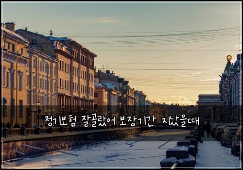 정기보험 잘골랐어  보장기간 지났을때