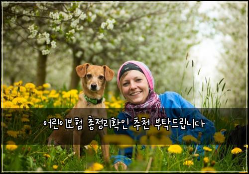 어린이보험 총정리확인  추천 부탁드립니다