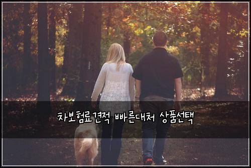 차보험료견적 빠른대처 상품선택