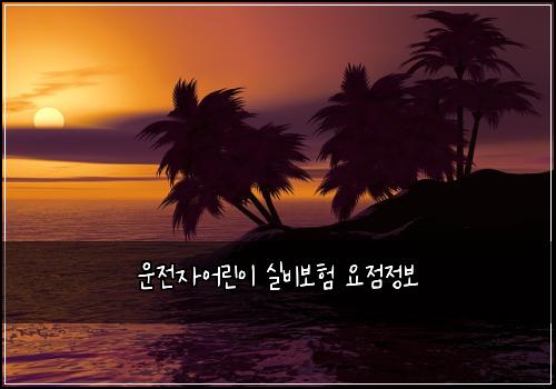 운전자어린이 실비보험 요점정보 