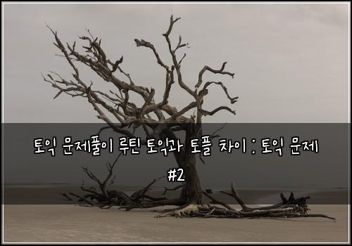 토익 문제풀이 루틴 토익과 토플 차이 : 토익 문제 #2
