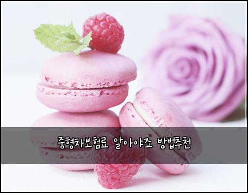 중형차보험료 알아야죠 방법추천