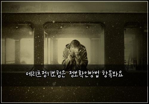 메리츠정기보험은 정보확인방법 항목봐요