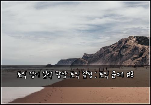 토익 영어 실력 향상 토익 일정 : 토익 문제 #8