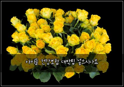 아이들 건강보험 대박팁  넣으시나요