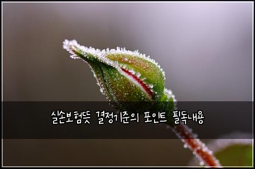 ์ค์๋ณดํ๋ป ๊ฒฐ์ ๊ธฐ์ค์ ํฌ์ธํธ ํ๋
๋ด์ฉ