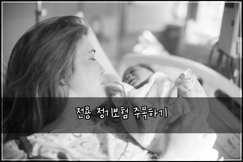 전용 정기보험 주목하기 