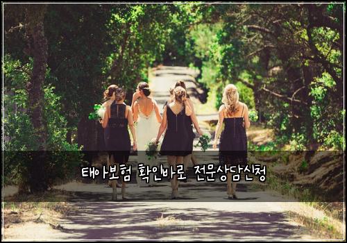 태아보험 확인바로  전문상담신청