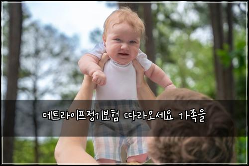 메트라이프정기보험 따라오세요  가족을