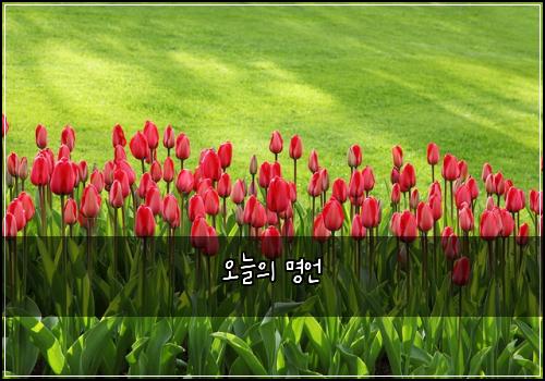 오늘의 명언