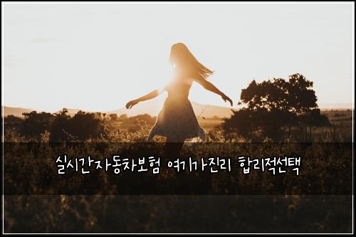 실시간자동차보험 여기가진리  합리적선택