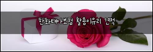 한화태아보험 활용이유리  견적