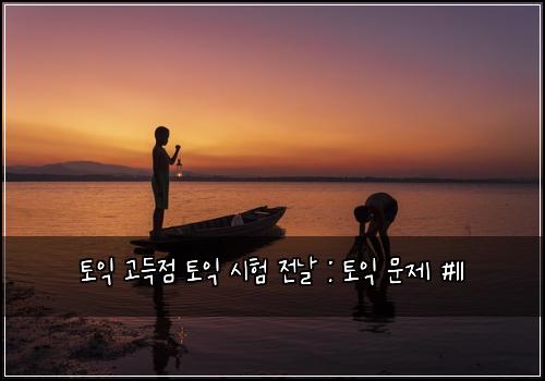 토익 고득점 토익 시험 전날 : 토익 문제 #11