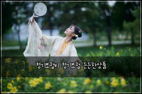 정기보험비 정기보험 든든한상품