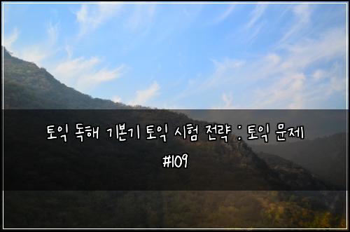 토익 독해 기본기 토익 시험 전략 : 토익 문제 #109