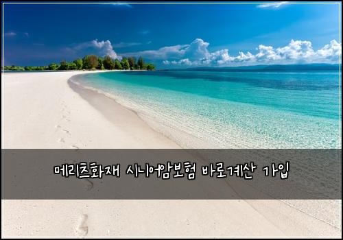 메리츠화재 시니어암보험 바로계산  가입