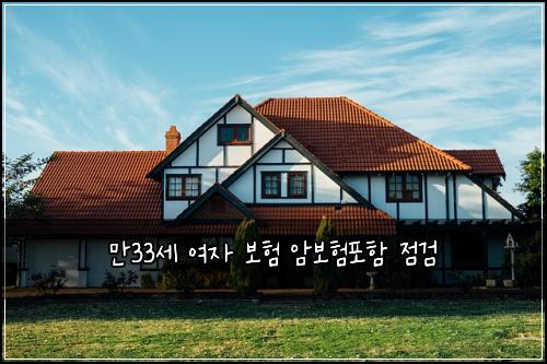 ๋ง33์ธ ์ฌ์ ๋ณดํ ์๋ณดํํฌํจ ์ ๊ฒ
