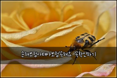 ์ํด๋ณดํ์ฌํ์๋ณดํ๊ผญํด์ ๊ผญํ์ธํ๊ธฐ