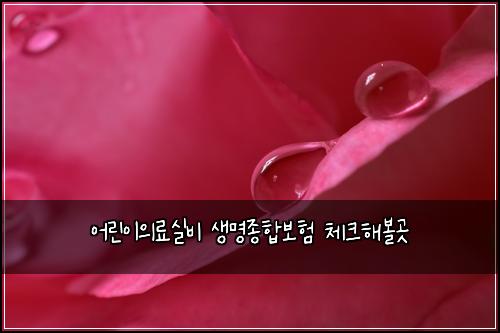 ์ด๋ฆฐ์ด์๋ฃ์ค๋น ์๋ช
์ข
ํฉ๋ณดํ ์ฒดํฌํด๋ณผ๊ณณ