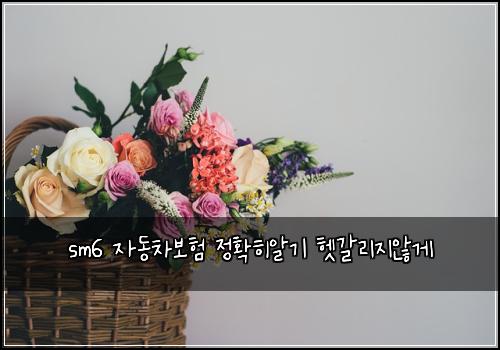 sm6 자동차보험 정확히알기  헷갈리지않게
