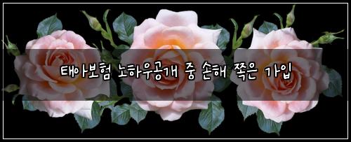 태아보험 노하우공개  중 손해 쪽은 가입