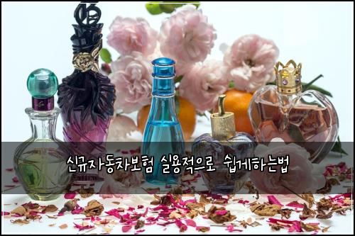 신규자동차보험 실용적으로  쉽게하는법