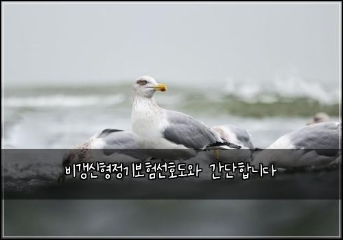 비갱신형정기보험선호도와 간단합니다