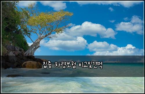 집중 차량보험 비교및견적 