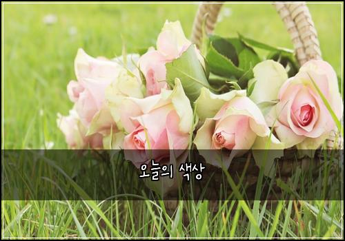 오늘의 색상