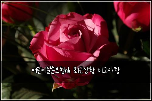 ์ด๋ฆฐ์ด์ค์๋ณดํnh ์ต๊ทผ์ํฉ ๋น๊ต์ฌํญ