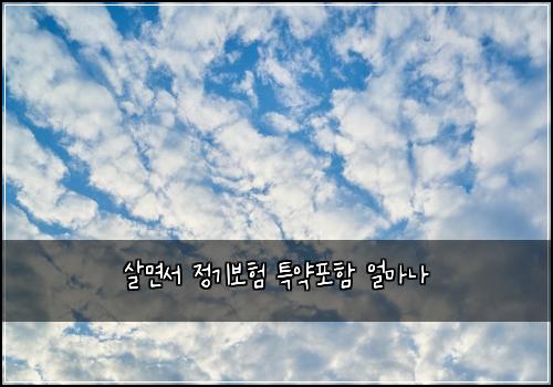 살면서 정기보험 특약포함  얼마나