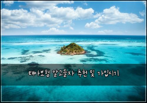 태아보험 알고들자  추천 및 가입시기