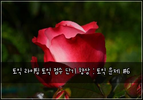 토익 라이팅 토익 점수 단기 향상 : 토익 문제 #6