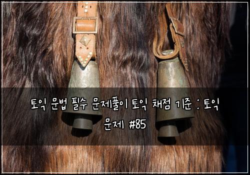 토익 문법 필수 문제풀이 토익 채점 기준 : 토익 문제 #85