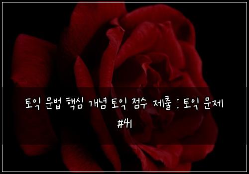 토익 문법 핵심 개념 토익 점수 제출 : 토익 문제 #41