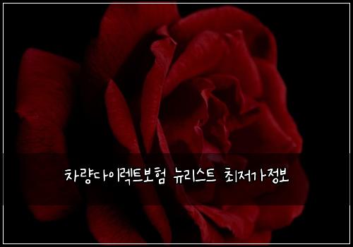 차량다이렉트보험 뉴리스트  최저가정보